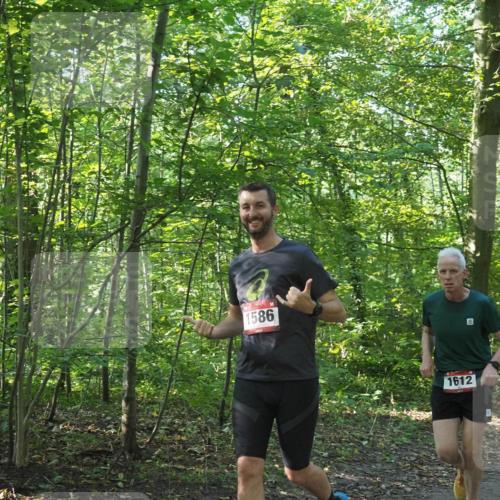22.09.2024 - 32. Volkslauf durch das schöne Alstertal Miley Keyser http://msf.ph/oto/7137160 22.09.2024 10:22:36 Laufen 1586, 1612, 1112 meine-sportfotos.de