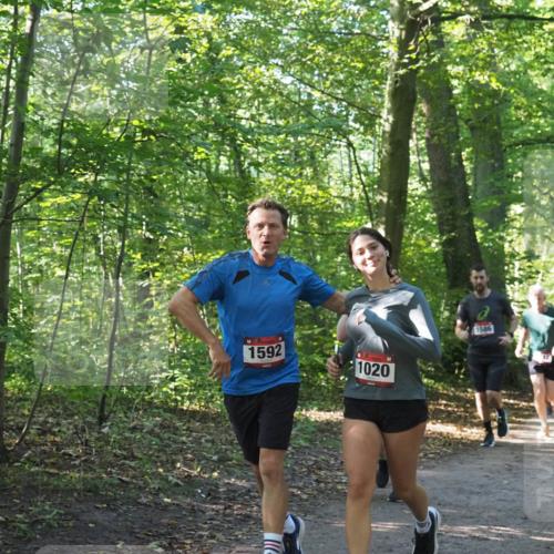 22.09.2024 - 32. Volkslauf durch das schöne Alstertal Miley Keyser http://msf.ph/oto/7137174 22.09.2024 10:22:34 Laufen 1592, 1020, 1586 meine-sportfotos.de