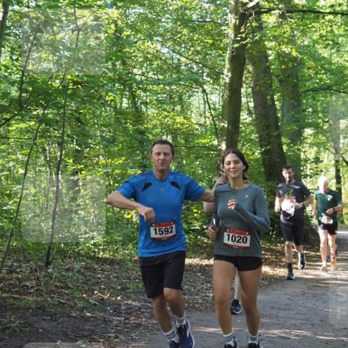 22.09.2024 - 32. Volkslauf durch das schöne Alstertal Miley Keyser http://msf.ph/oto/7137175 22.09.2024 10:22:34 Laufen 1592, 1020 meine-sportfotos.de