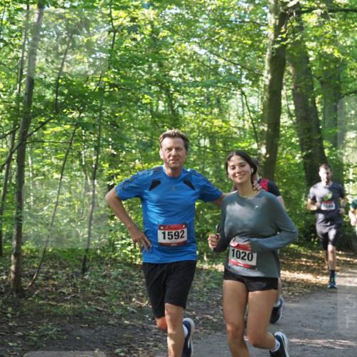 22.09.2024 - 32. Volkslauf durch das schöne Alstertal Miley Keyser http://msf.ph/oto/7137177 22.09.2024 10:22:34 Laufen 1592, 1020 meine-sportfotos.de