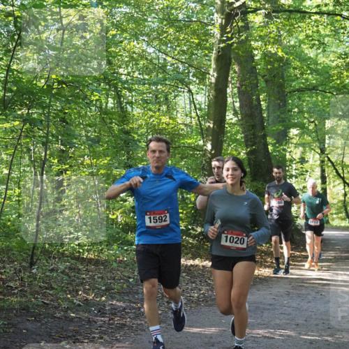 22.09.2024 - 32. Volkslauf durch das schöne Alstertal Miley Keyser http://msf.ph/oto/7137178 22.09.2024 10:22:33 Laufen 1592, 1020, 586, 1612 meine-sportfotos.de