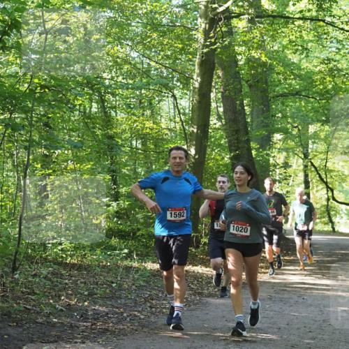 22.09.2024 - 32. Volkslauf durch das schöne Alstertal Miley Keyser http://msf.ph/oto/7137179 22.09.2024 10:22:33 Laufen 1592, 1020 meine-sportfotos.de