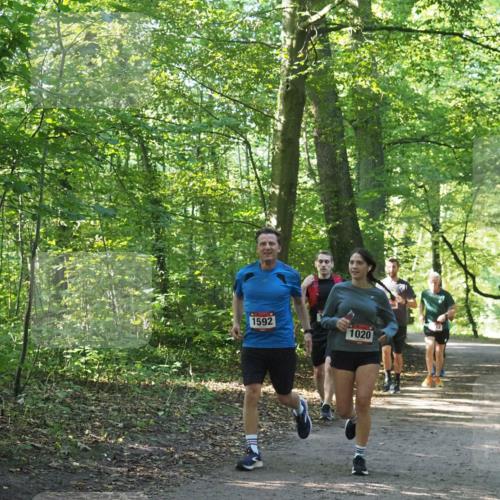 22.09.2024 - 32. Volkslauf durch das schöne Alstertal Miley Keyser http://msf.ph/oto/7137180 22.09.2024 10:22:33 Laufen 1592, 1020 meine-sportfotos.de
