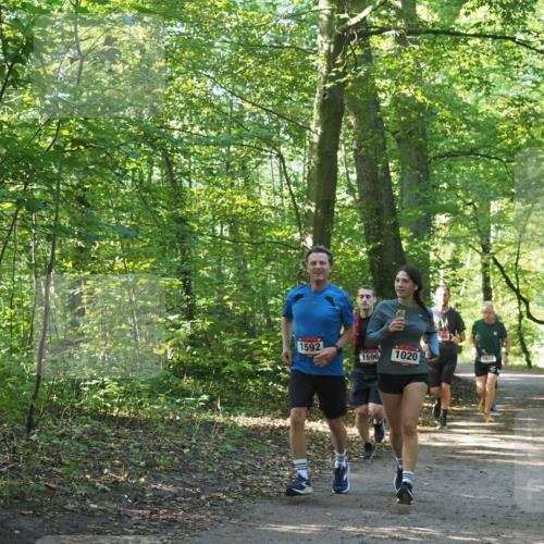 22.09.2024 - 32. Volkslauf durch das schöne Alstertal Miley Keyser http://msf.ph/oto/7137181 22.09.2024 10:22:33 Laufen 1592, 1596, 1020, 586, 1612 meine-sportfotos.de