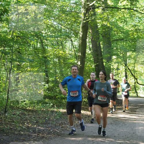 22.09.2024 - 32. Volkslauf durch das schöne Alstertal Miley Keyser http://msf.ph/oto/7137182 22.09.2024 10:22:33 Laufen 1592, 1020 meine-sportfotos.de