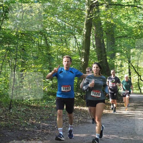 22.09.2024 - 32. Volkslauf durch das schöne Alstertal Miley Keyser http://msf.ph/oto/7137183 22.09.2024 10:22:33 Laufen 1592, 1020, 1586, 1612 meine-sportfotos.de