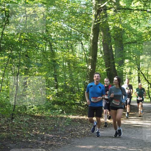 22.09.2024 - 32. Volkslauf durch das schöne Alstertal Miley Keyser http://msf.ph/oto/7137186 22.09.2024 10:22:32 Laufen 1592, 159, 1020 meine-sportfotos.de