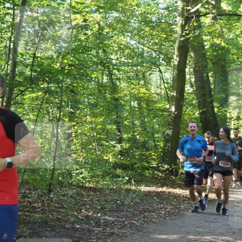 22.09.2024 - 32. Volkslauf durch das schöne Alstertal Miley Keyser http://msf.ph/oto/7137188 22.09.2024 10:22:32 Laufen 1690, 1592, 1020 meine-sportfotos.de