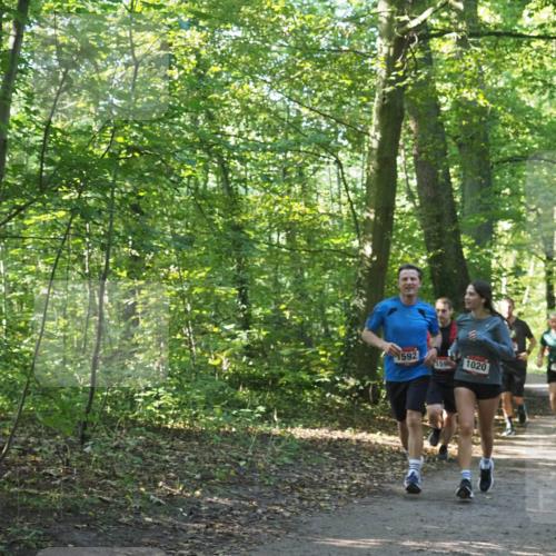 22.09.2024 - 32. Volkslauf durch das schöne Alstertal Miley Keyser http://msf.ph/oto/7137189 22.09.2024 10:22:32 Laufen 1592, 159, 1020, 1913 meine-sportfotos.de