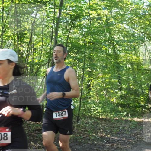 22.09.2024 - 32. Volkslauf durch das schöne Alstertal Miley Keyser http://msf.ph/oto/7137198 22.09.2024 10:22:30 Laufen 13008, 1587, 1690 meine-sportfotos.de