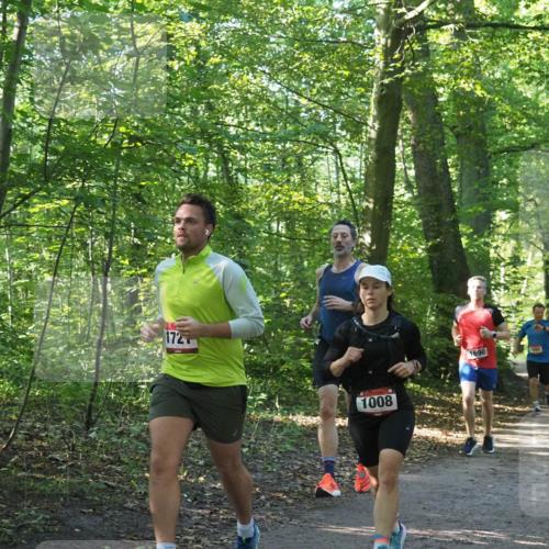22.09.2024 - 32. Volkslauf durch das schöne Alstertal Miley Keyser http://msf.ph/oto/7137202 22.09.2024 10:22:29 Laufen 172, 1008, 1690, 1592, 1020 meine-sportfotos.de