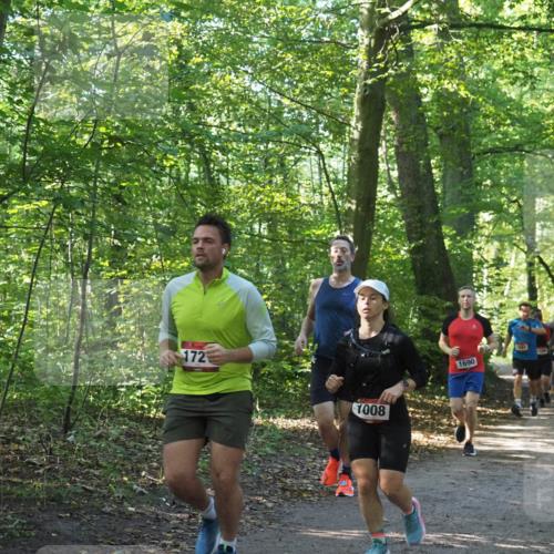 22.09.2024 - 32. Volkslauf durch das schöne Alstertal Miley Keyser http://msf.ph/oto/7137205 22.09.2024 10:22:29 Laufen 172, 1008, 1690, 1020 meine-sportfotos.de