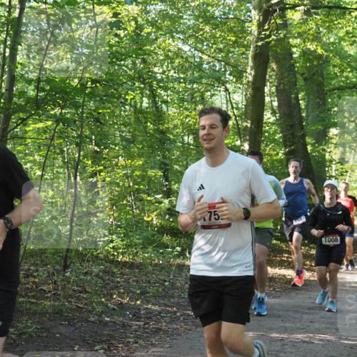 22.09.2024 - 32. Volkslauf durch das schöne Alstertal Miley Keyser http://msf.ph/oto/7137210 22.09.2024 10:22:28 Laufen 1623, 75, 1587, 1008 meine-sportfotos.de