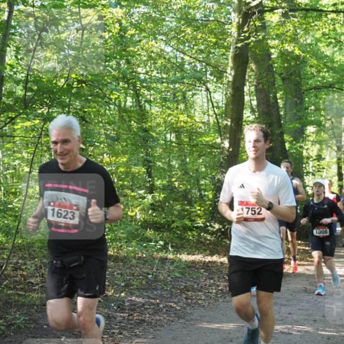 22.09.2024 - 32. Volkslauf durch das schöne Alstertal Miley Keyser http://msf.ph/oto/7137212 22.09.2024 10:22:28 Laufen 752, 1623, 1008 meine-sportfotos.de