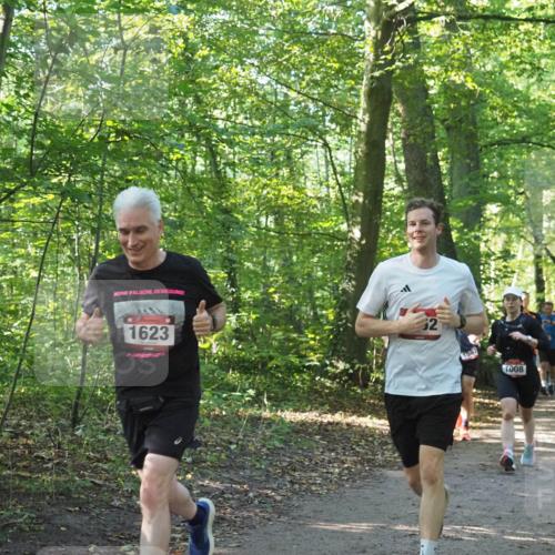 22.09.2024 - 32. Volkslauf durch das schöne Alstertal Miley Keyser http://msf.ph/oto/7137213 22.09.2024 10:22:27 Laufen 1623, 7008 meine-sportfotos.de