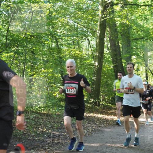 22.09.2024 - 32. Volkslauf durch das schöne Alstertal Miley Keyser http://msf.ph/oto/7137217 22.09.2024 10:22:27 Laufen 1595, 1623, 172, 752, 008 meine-sportfotos.de