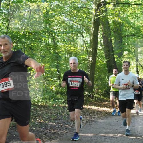 22.09.2024 - 32. Volkslauf durch das schöne Alstertal Miley Keyser http://msf.ph/oto/7137218 22.09.2024 10:22:27 Laufen 1595, 1623, 17, 52, 1008 meine-sportfotos.de