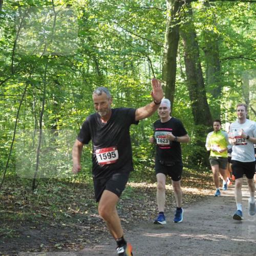 22.09.2024 - 32. Volkslauf durch das schöne Alstertal Miley Keyser http://msf.ph/oto/7137219 22.09.2024 10:22:26 Laufen 1595, 1623, 1752 meine-sportfotos.de
