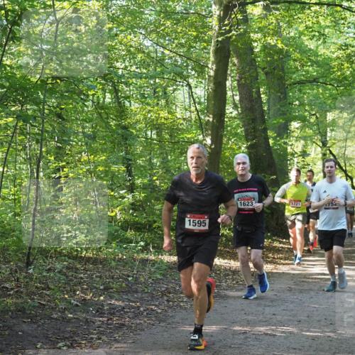 22.09.2024 - 32. Volkslauf durch das schöne Alstertal Miley Keyser http://msf.ph/oto/7137220 22.09.2024 10:22:26 Laufen 1595, 1623, 1721, 752 meine-sportfotos.de