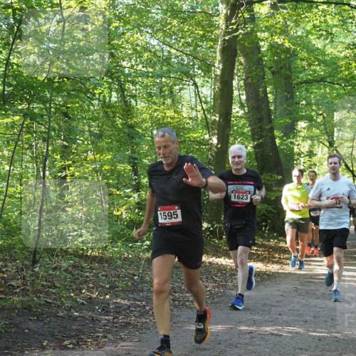 22.09.2024 - 32. Volkslauf durch das schöne Alstertal Miley Keyser http://msf.ph/oto/7137221 22.09.2024 10:22:26 Laufen 1595, 1623, 1587 meine-sportfotos.de