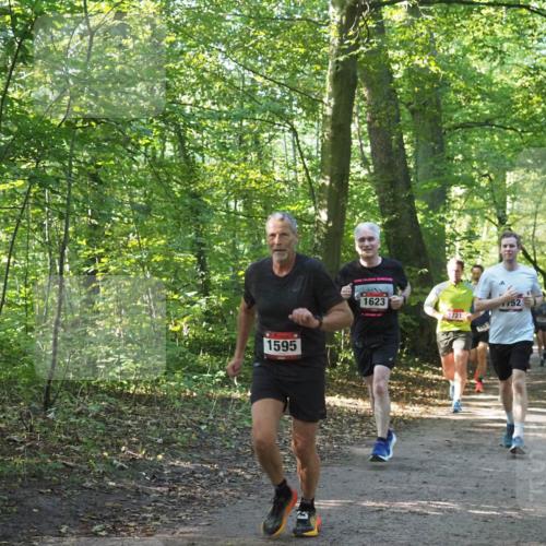 22.09.2024 - 32. Volkslauf durch das schöne Alstertal Miley Keyser http://msf.ph/oto/7137222 22.09.2024 10:22:26 Laufen 1595, 1623, 1721, 1587, 752 meine-sportfotos.de