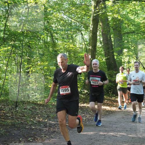 22.09.2024 - 32. Volkslauf durch das schöne Alstertal Miley Keyser http://msf.ph/oto/7137223 22.09.2024 10:22:26 Laufen 1595, 1623, 1721, 1587, 752 meine-sportfotos.de