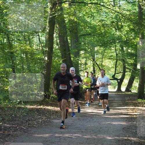 22.09.2024 - 32. Volkslauf durch das schöne Alstertal Miley Keyser http://msf.ph/oto/7137224 22.09.2024 10:22:25 Laufen 1595, 1721, 158 meine-sportfotos.de