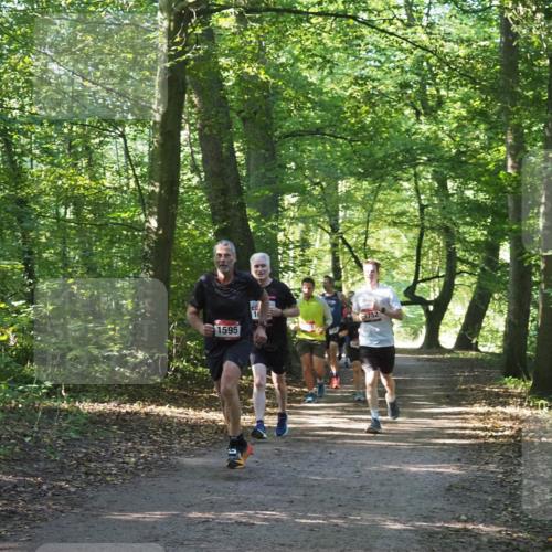 22.09.2024 - 32. Volkslauf durch das schöne Alstertal Miley Keyser http://msf.ph/oto/7137225 22.09.2024 10:22:25 Laufen 1595, 11587, 752 meine-sportfotos.de