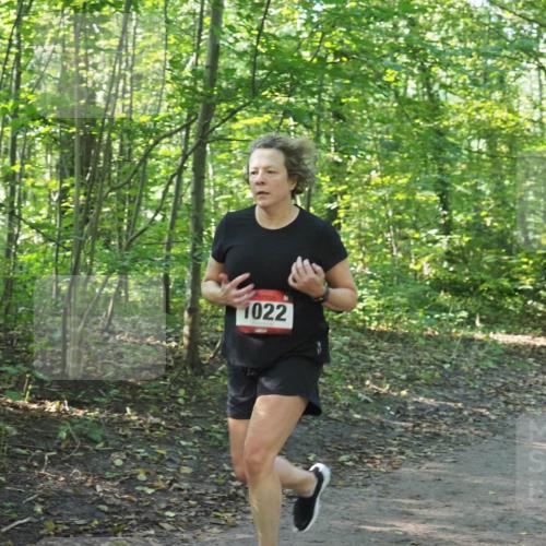 22.09.2024 - 32. Volkslauf durch das schöne Alstertal Miley Keyser http://msf.ph/oto/7137227 22.09.2024 10:22:20 Laufen 1022 meine-sportfotos.de