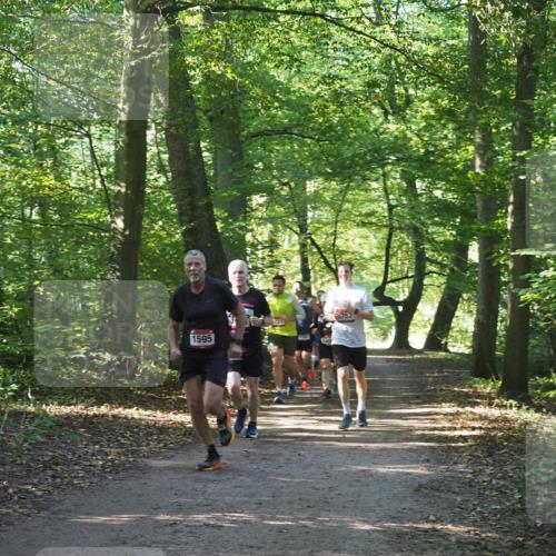 22.09.2024 - 32. Volkslauf durch das schöne Alstertal Miley Keyser http://msf.ph/oto/7137228 22.09.2024 10:22:25 Laufen 1595, 721, 752 meine-sportfotos.de