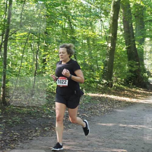 22.09.2024 - 32. Volkslauf durch das schöne Alstertal Miley Keyser http://msf.ph/oto/7137229 22.09.2024 10:22:20 Laufen 1022 meine-sportfotos.de