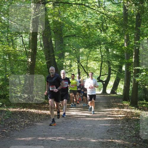22.09.2024 - 32. Volkslauf durch das schöne Alstertal Miley Keyser http://msf.ph/oto/7137230 22.09.2024 10:22:25 Laufen 23, 1721, 1595, 1587, 1008 meine-sportfotos.de