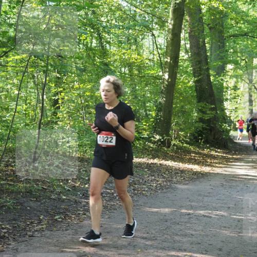22.09.2024 - 32. Volkslauf durch das schöne Alstertal Miley Keyser http://msf.ph/oto/7137231 22.09.2024 10:22:20 Laufen 1022 meine-sportfotos.de