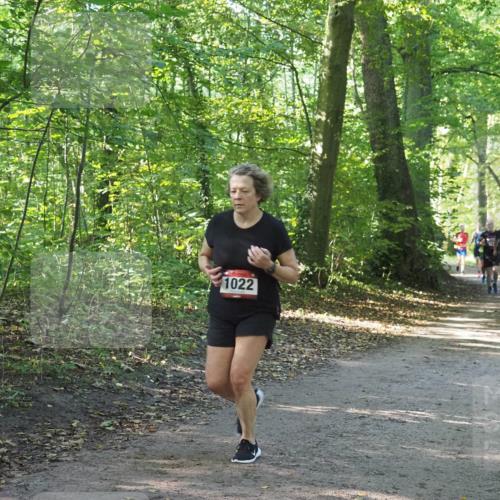 22.09.2024 - 32. Volkslauf durch das schöne Alstertal Miley Keyser http://msf.ph/oto/7137232 22.09.2024 10:22:20 Laufen 1022 meine-sportfotos.de