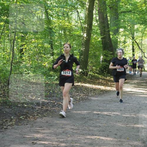 22.09.2024 - 32. Volkslauf durch das schöne Alstertal Miley Keyser http://msf.ph/oto/7137234 22.09.2024 10:22:18 Laufen 022, 1012 meine-sportfotos.de