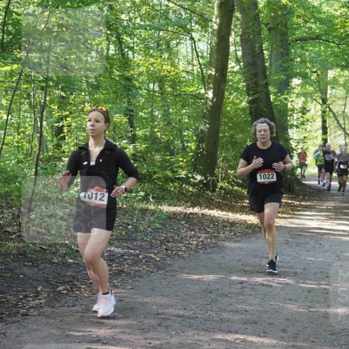 22.09.2024 - 32. Volkslauf durch das schöne Alstertal Miley Keyser http://msf.ph/oto/7137235 22.09.2024 10:22:19 Laufen 1022, 012 meine-sportfotos.de