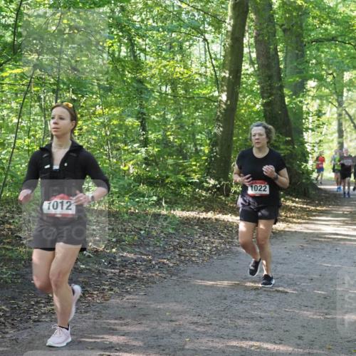22.09.2024 - 32. Volkslauf durch das schöne Alstertal Miley Keyser http://msf.ph/oto/7137236 22.09.2024 10:22:19 Laufen 1022, 1012 meine-sportfotos.de