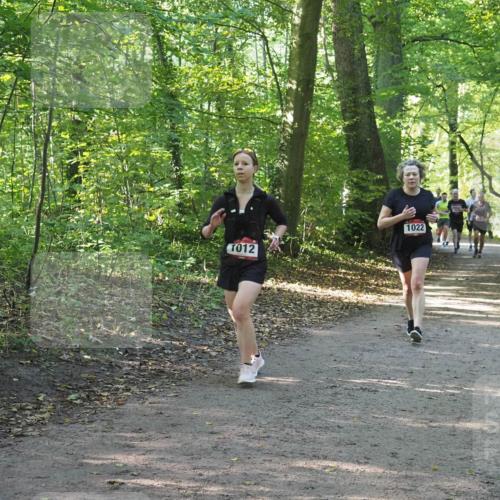 22.09.2024 - 32. Volkslauf durch das schöne Alstertal Miley Keyser http://msf.ph/oto/7137237 22.09.2024 10:22:18 Laufen 1022, 012 meine-sportfotos.de