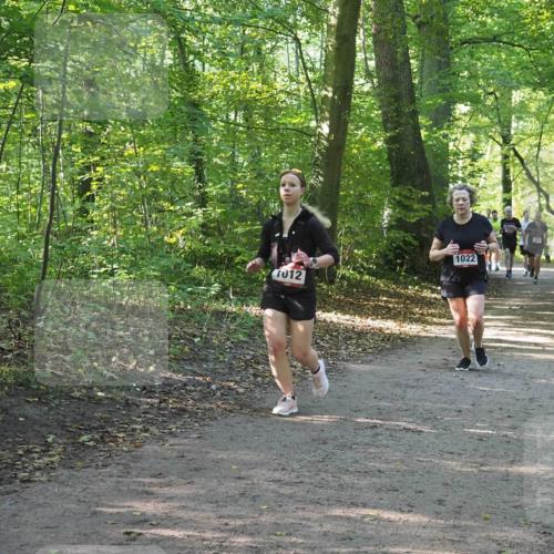 22.09.2024 - 32. Volkslauf durch das schöne Alstertal Miley Keyser http://msf.ph/oto/7137239 22.09.2024 10:22:18 Laufen 1022, 7012 meine-sportfotos.de