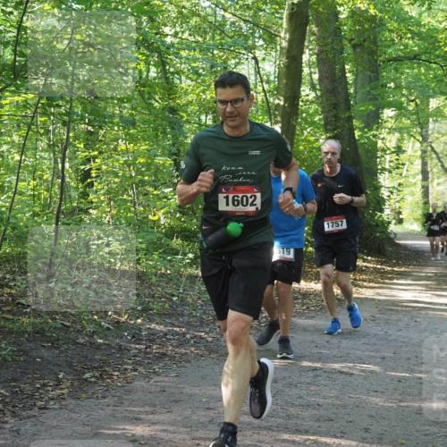 22.09.2024 - 32. Volkslauf durch das schöne Alstertal Miley Keyser http://msf.ph/oto/7137246 22.09.2024 10:22:11 Laufen 1602, 619, 1757 meine-sportfotos.de
