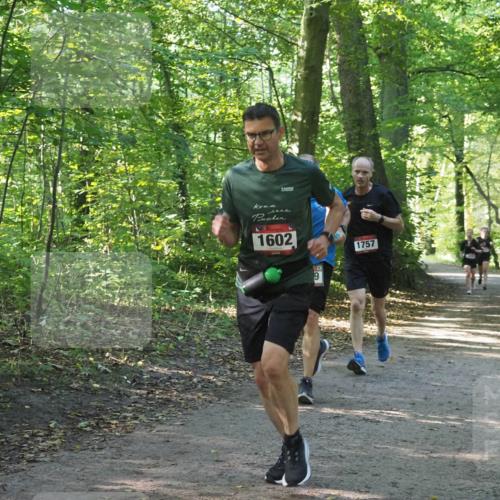22.09.2024 - 32. Volkslauf durch das schöne Alstertal Miley Keyser http://msf.ph/oto/7137247 22.09.2024 10:22:11 Laufen 1602, 1757 meine-sportfotos.de