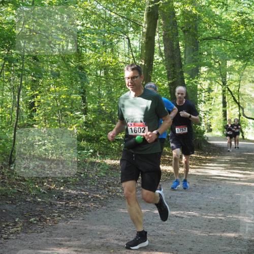 22.09.2024 - 32. Volkslauf durch das schöne Alstertal Miley Keyser http://msf.ph/oto/7137248 22.09.2024 10:22:11 Laufen 1602, 1757 meine-sportfotos.de