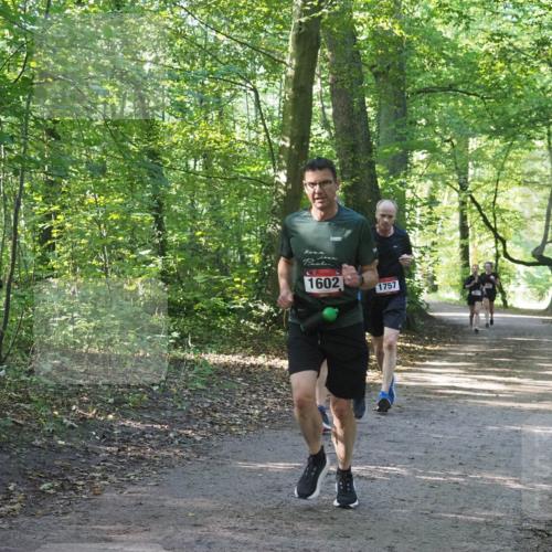 22.09.2024 - 32. Volkslauf durch das schöne Alstertal Miley Keyser http://msf.ph/oto/7137249 22.09.2024 10:22:11 Laufen 13, 1602, 1757 meine-sportfotos.de