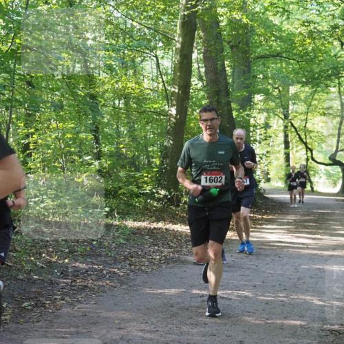 22.09.2024 - 32. Volkslauf durch das schöne Alstertal Miley Keyser http://msf.ph/oto/7137250 22.09.2024 10:22:11 Laufen 1602 meine-sportfotos.de