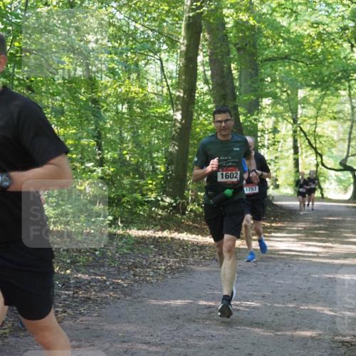 22.09.2024 - 32. Volkslauf durch das schöne Alstertal Miley Keyser http://msf.ph/oto/7137251 22.09.2024 10:22:10 Laufen 585, 1602, 1757 meine-sportfotos.de