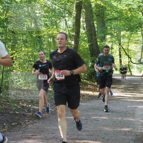 22.09.2024 - 32. Volkslauf durch das schöne Alstertal Miley Keyser http://msf.ph/oto/7137252 22.09.2024 10:22:10 Laufen 753, 1013, 1585, 1602 meine-sportfotos.de