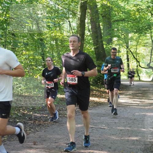 22.09.2024 - 32. Volkslauf durch das schöne Alstertal Miley Keyser http://msf.ph/oto/7137253 22.09.2024 10:22:10 Laufen 1013, 1753, 1585, 1602 meine-sportfotos.de