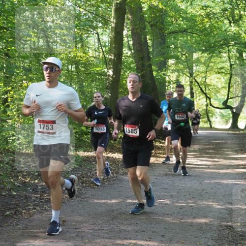 22.09.2024 - 32. Volkslauf durch das schöne Alstertal Miley Keyser http://msf.ph/oto/7137254 22.09.2024 10:22:09 Laufen 1753, 1013, 1585, 1602 meine-sportfotos.de
