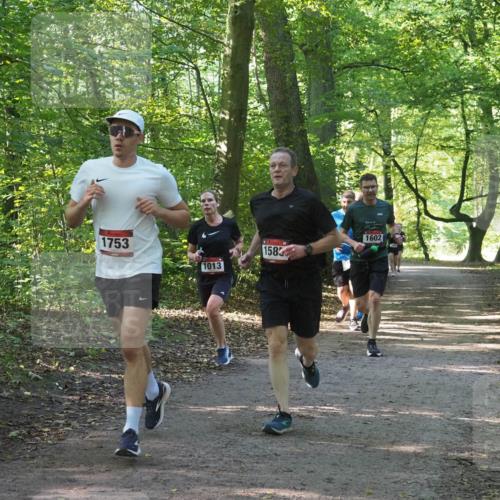 22.09.2024 - 32. Volkslauf durch das schöne Alstertal Miley Keyser http://msf.ph/oto/7137255 22.09.2024 10:22:09 Laufen 1753, 1013, 1583, 1602 meine-sportfotos.de