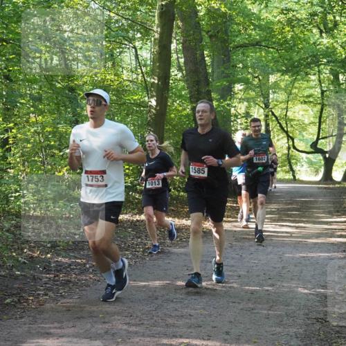 22.09.2024 - 32. Volkslauf durch das schöne Alstertal Miley Keyser http://msf.ph/oto/7137256 22.09.2024 10:22:09 Laufen 1753, 1013, 1585, 1602 meine-sportfotos.de